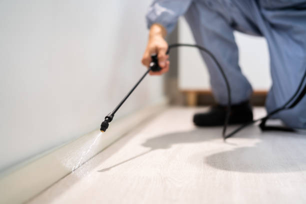 Certified termite inspector examining foundation in Brickerville