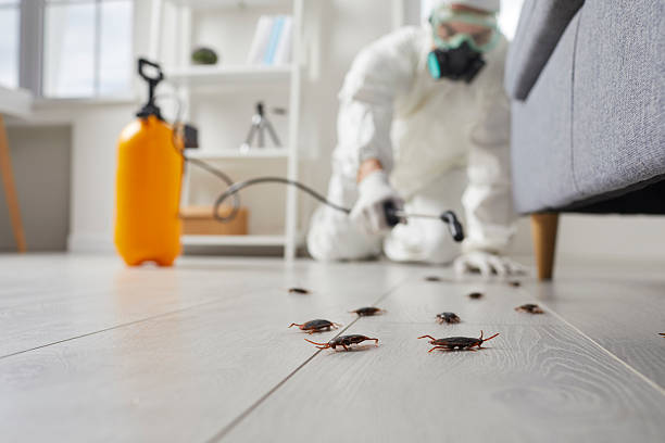Commercial Rodent Management in Brickerville